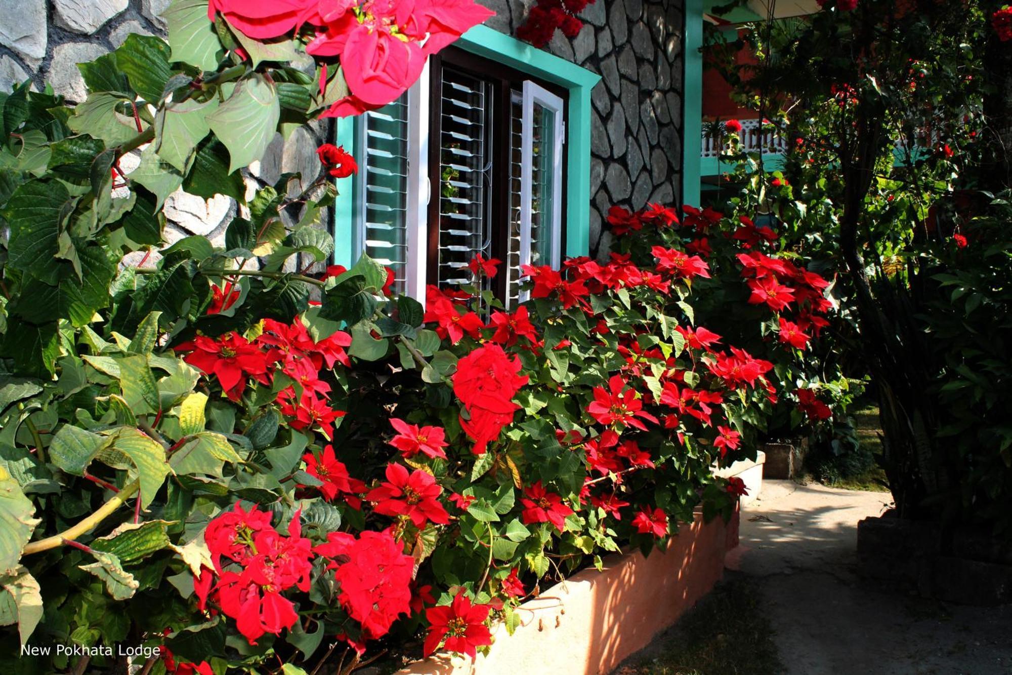 New Pokhara Lodge - Pokhara Lakeside Esterno foto