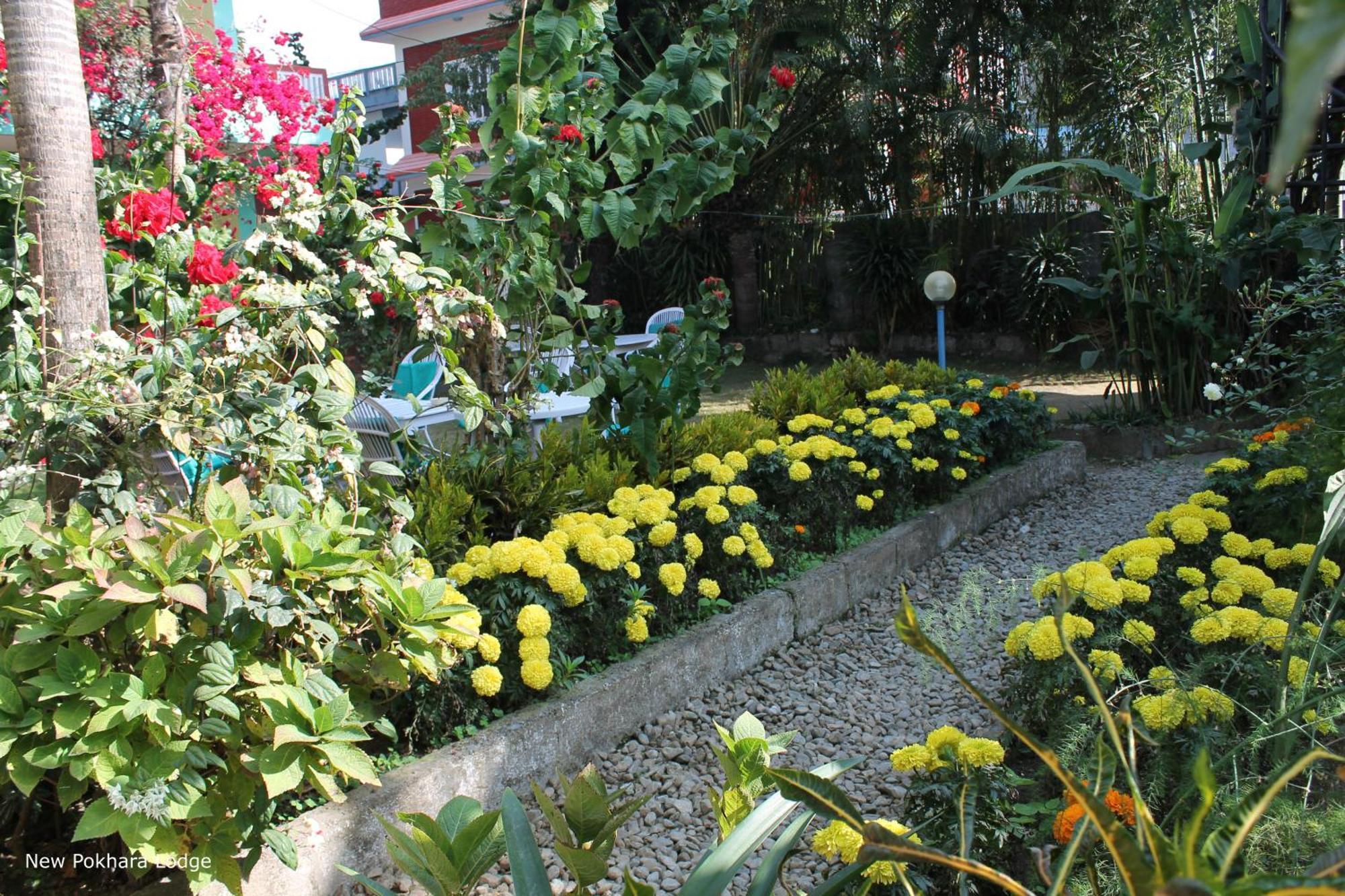 New Pokhara Lodge - Pokhara Lakeside Esterno foto